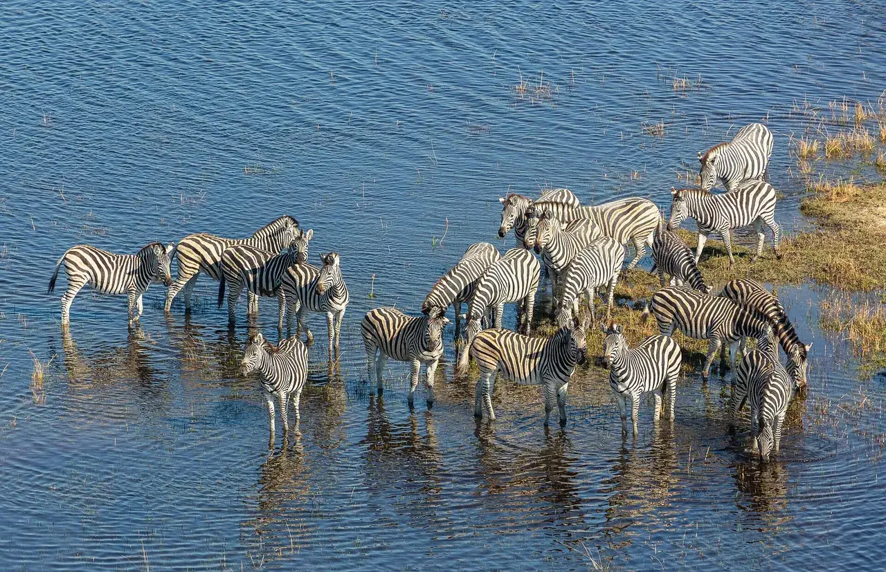 Hotels in Botswana