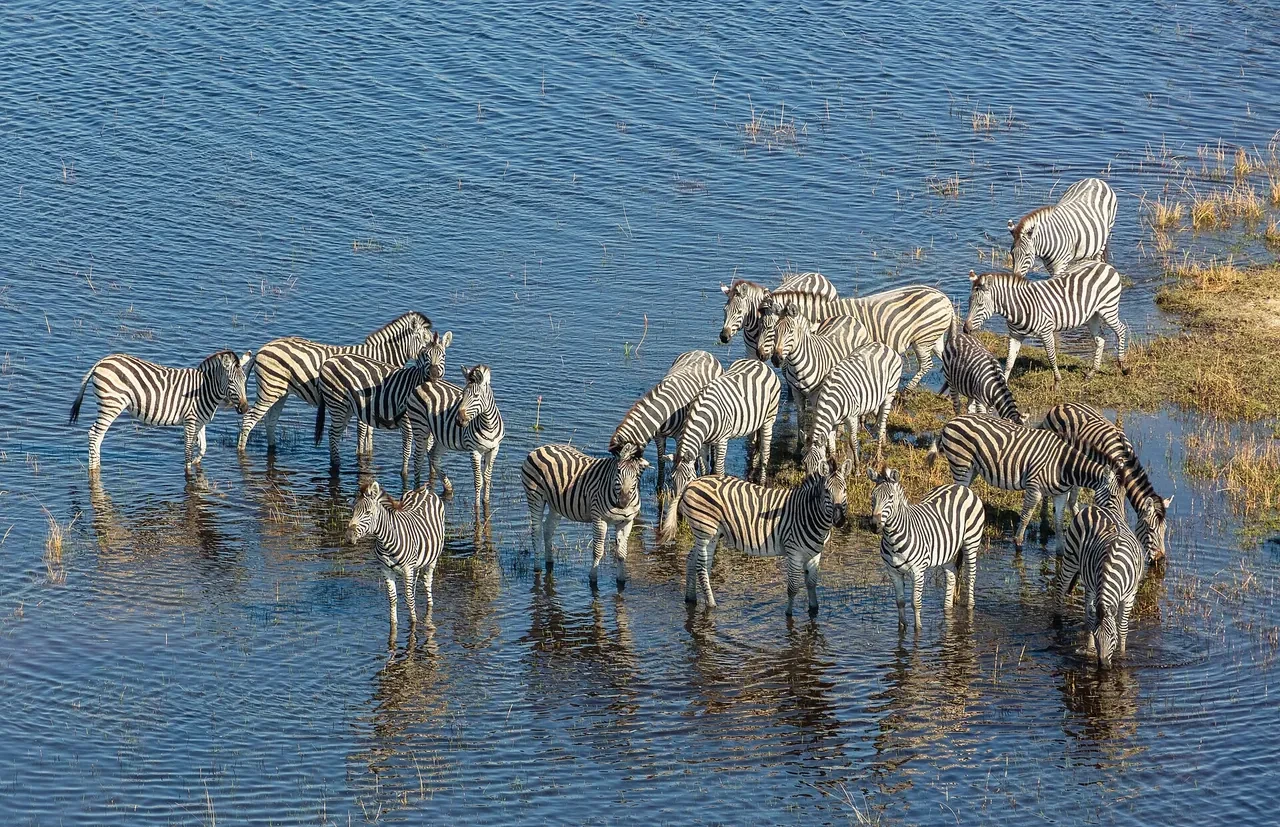 Hotels in Botswana