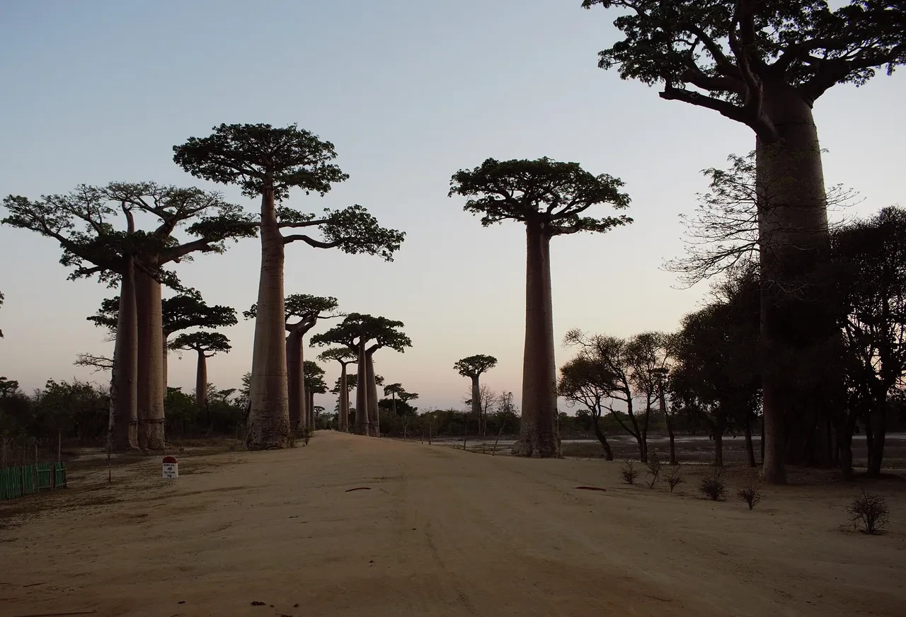 Hotels in Madagascar